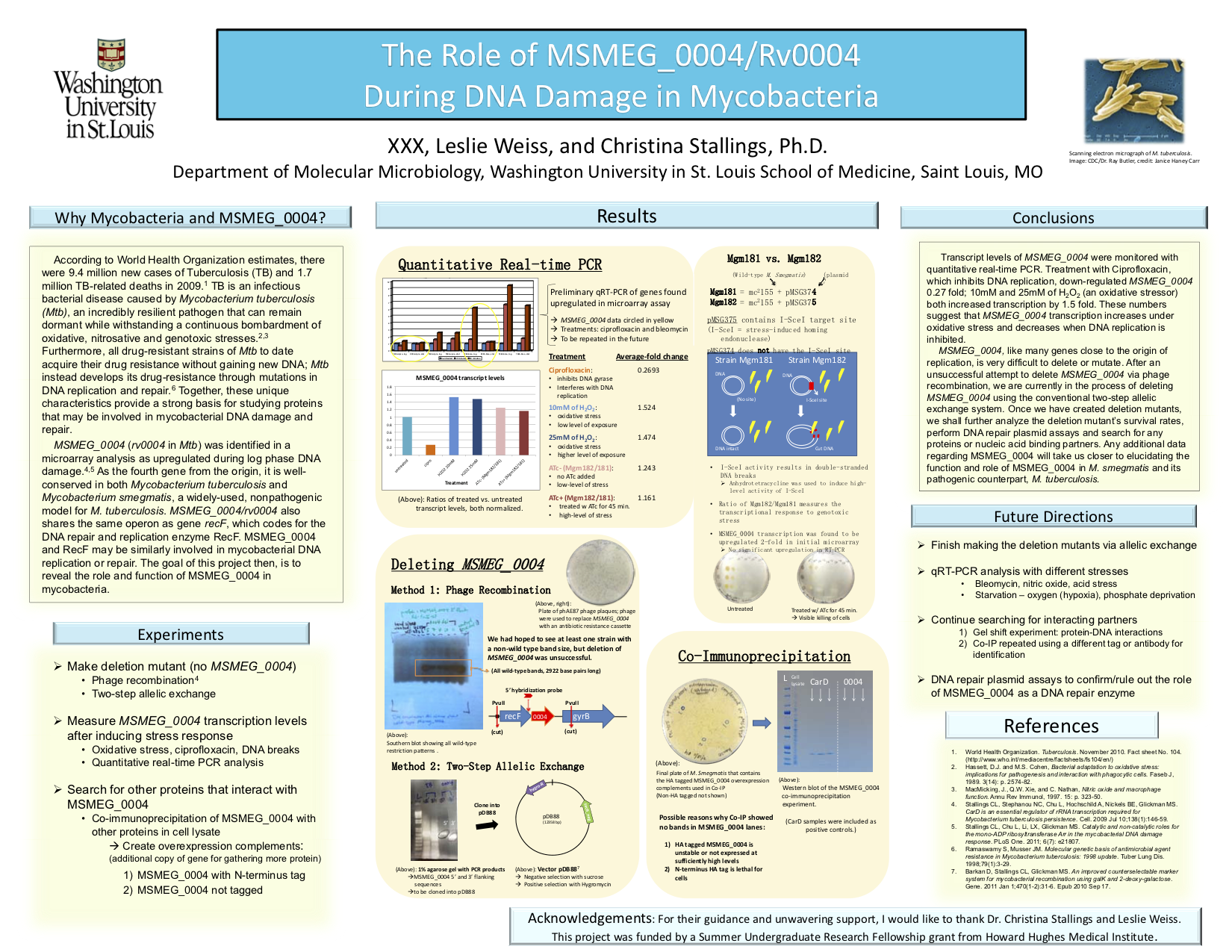 undergraduate research poster presentation