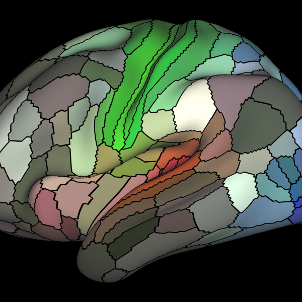 Paid UG Research Assistant in Neuroscience