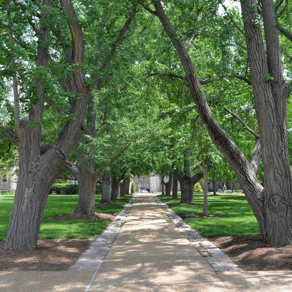 Call for Proposals: Arboretum of WashU