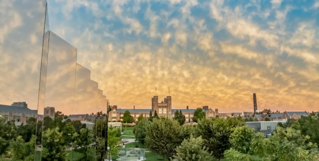 "a long distance photo of the WashU Danforth campus at dawn"